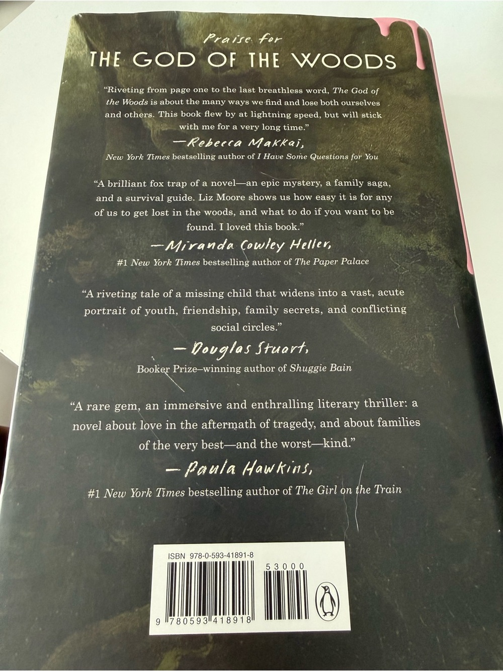 Liz Moore The God of the Woods - Hardcover Book (Pink Accents) - Picture 3 of 3